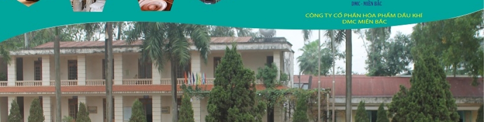 DMC Miền Bắc